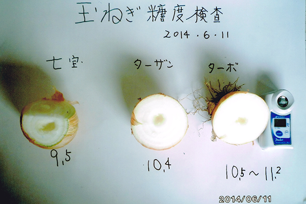 玉ねぎ糖度検査