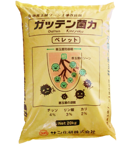 ガッテン菌力