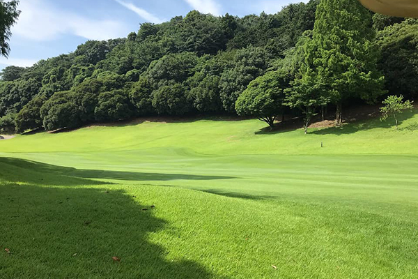 岐阜県ゴルフ場画像